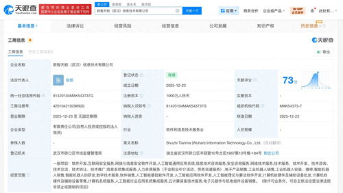 螞蟻數科布局華中，武漢新設信息技術公司聚焦網絡安全軟件開發